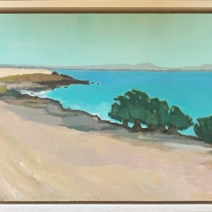 Back Beach Mangroves