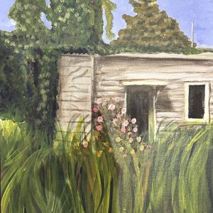 Willingness / visions of home